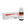 ARNICA D 30 Globuli