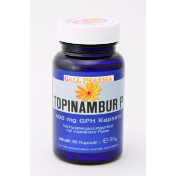 TOPINAMBUR P 400 mg Kapseln
